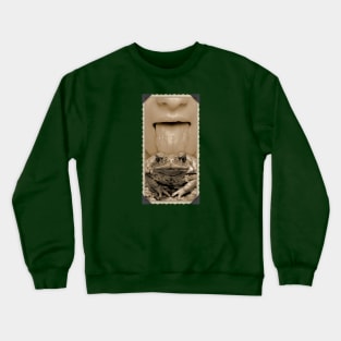 Toad Licker Crewneck Sweatshirt